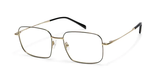Oprawa okularowa GIGI Studios 8133/1 ALEX