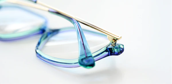 Oprawa okularowa TONNY 14028C3