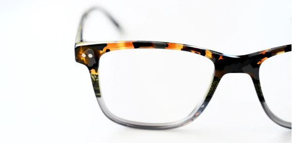 Oprawa okularowa TONNY 48471C1-CL