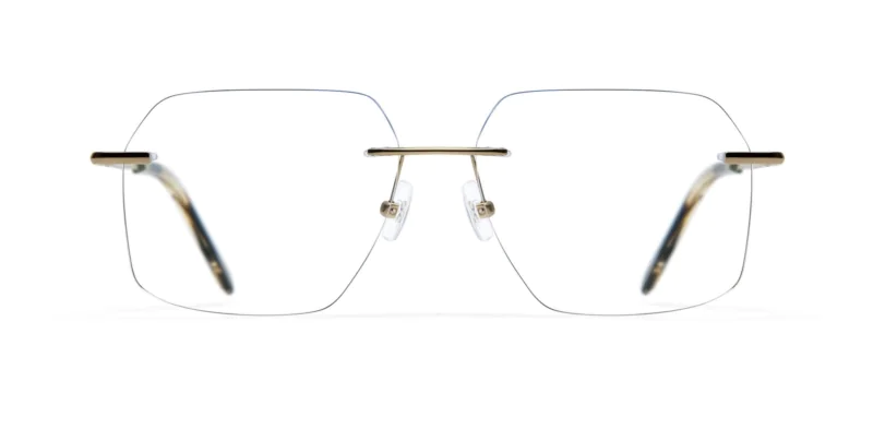 Oprawa okularowa GIGI Studios 8141-2/5 COTE