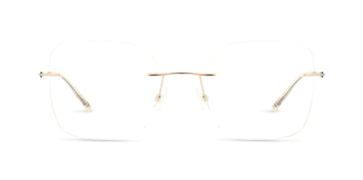 Oprawa okularowa MOREL 20289K COMETE 6 PV06